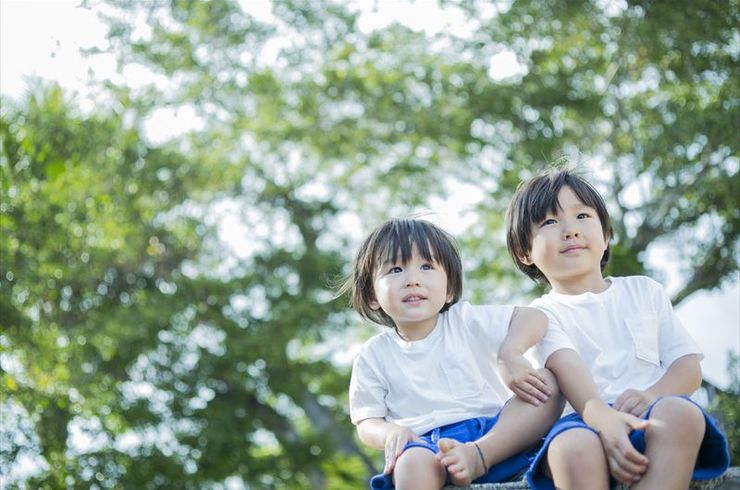 癒される緑の風景